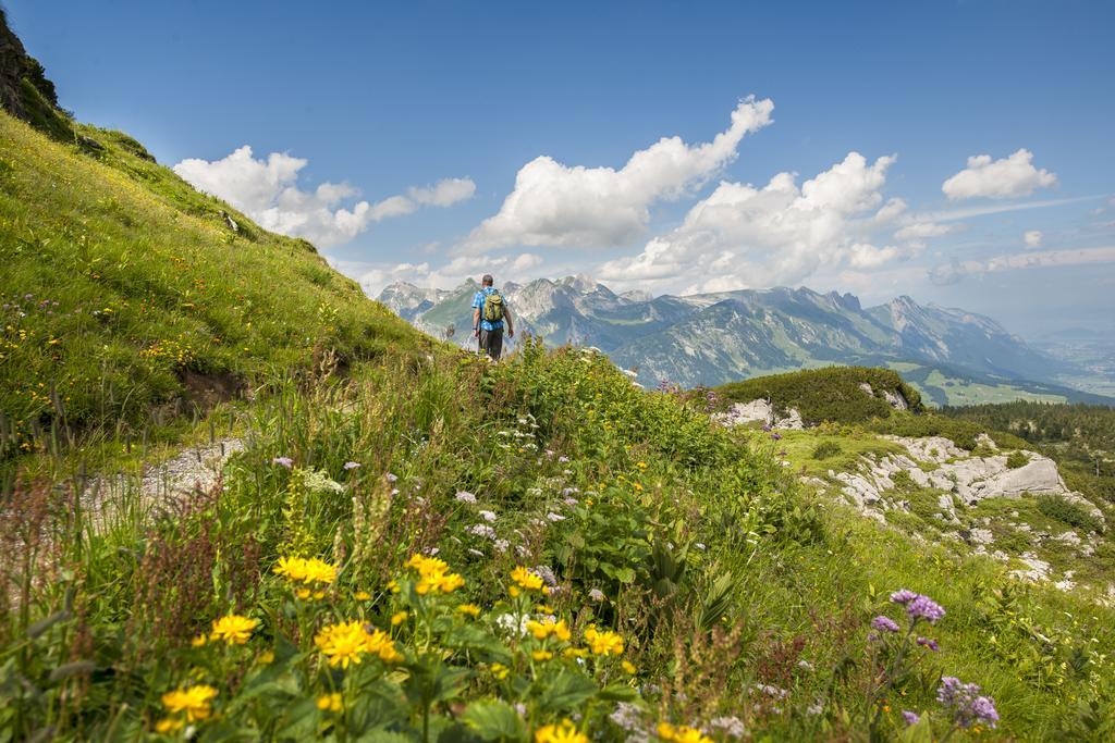 Berggasthaus Oberdorf Вильдхаус Экстерьер фото